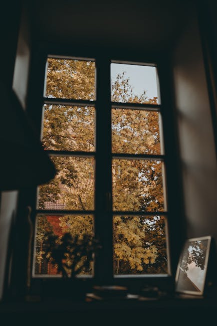 Photo by Paulina Lazauskaite on Pexels