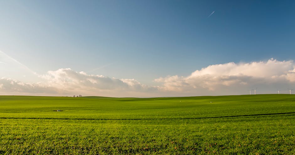 Photo by Jahoo Clouseau on Pexels